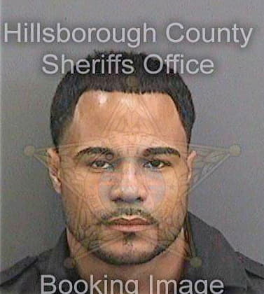 Johnpier Christopher - Hillsborough County, FL 