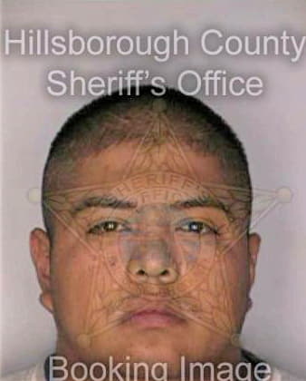 Perez Hazael - Hillsborough County, FL 