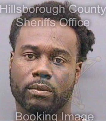 Simpson Leroy - Hillsborough County, FL 