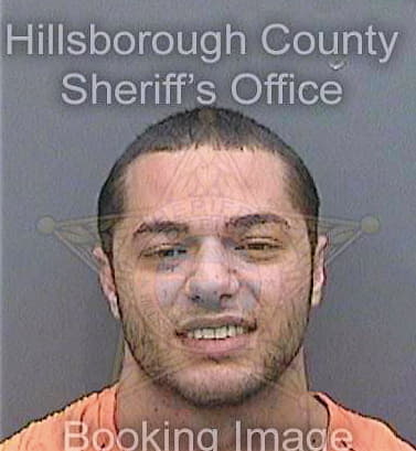 Liburdi Daniel - Hillsborough County, FL 