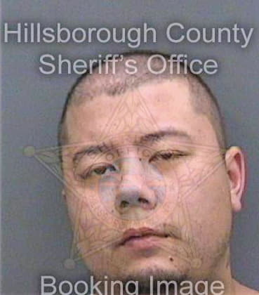 Tran Michael - Hillsborough County, FL 