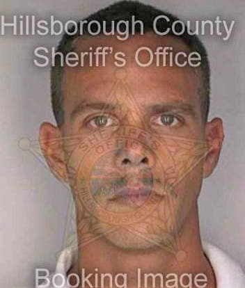 Terwilliger Richard - Hillsborough County, FL 