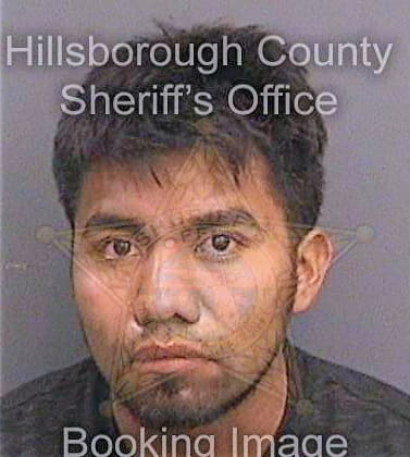 Bartolo Carlos - Hillsborough County, FL 