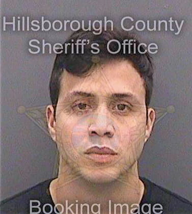 Ortizguerra Ariel - Hillsborough County, FL 