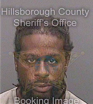 Smith Brandon - Hillsborough County, FL 