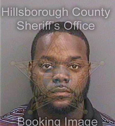 Webb Christopher - Hillsborough County, FL 