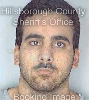 Nunez Neil - Hillsborough County, FL 