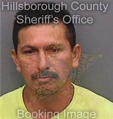 Hernandez Roni - Hillsborough County, FL 