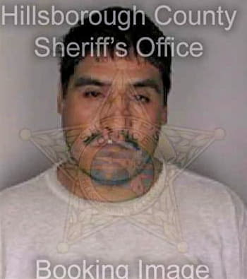 Lugotrejo Jeronimo - Hillsborough County, FL 