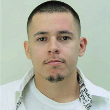 Botello Ivan - Hillsborough County, FL 