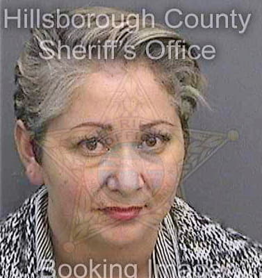 Brabo Lorien - Hillsborough County, FL 