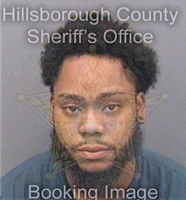 Despanza Garett - Hillsborough County, FL 