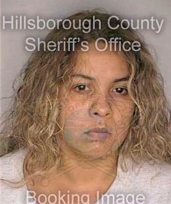 Borges Emelvia - Hillsborough County, FL 
