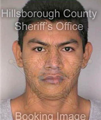 Fernandez Manuel - Hillsborough County, FL 