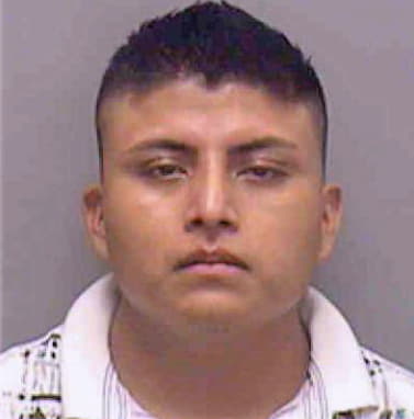 Garcia-Castillo Rene - Lee County, FL 