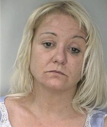 Silver Vicki - Hillsborough County, FL 