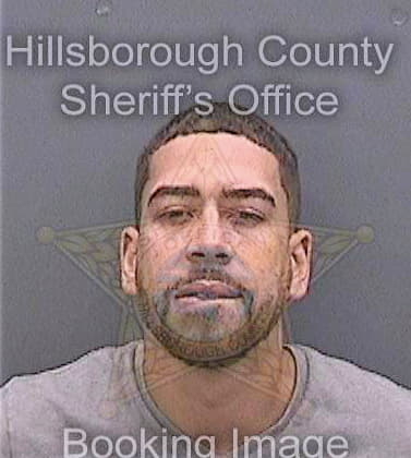 Ortiz Neftali - Hillsborough County, FL 