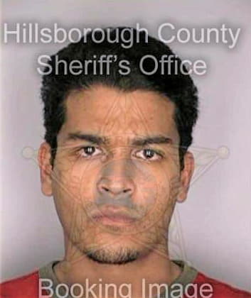 Samaroo Vijay - Hillsborough County, FL 