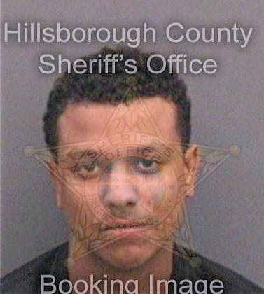 Lott David - Hillsborough County, FL 