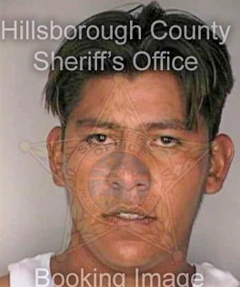 Sifuentesgutierrez Jose - Hillsborough County, FL 