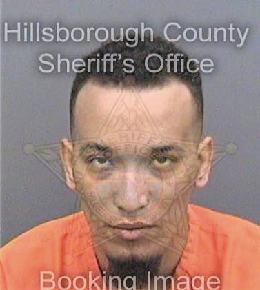 Torres Mike - Hillsborough County, FL 