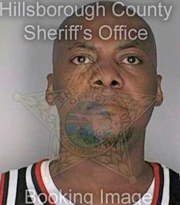 Simmons Dwayne - Hillsborough County, FL 