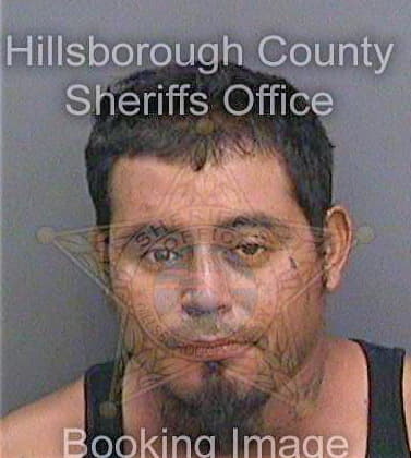 Villanuevasolis Hugo - Hillsborough County, FL 