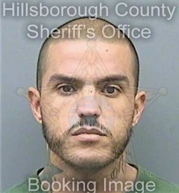 Lopezgonzalez Emilio - Hillsborough County, FL 