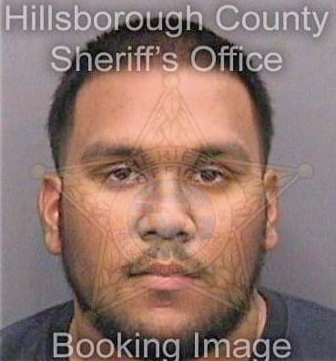 Mohamed Aaron - Hillsborough County, FL 