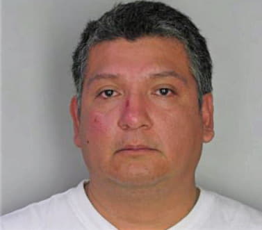 Herreraramirez Gerardo - Hillsborough County, FL 