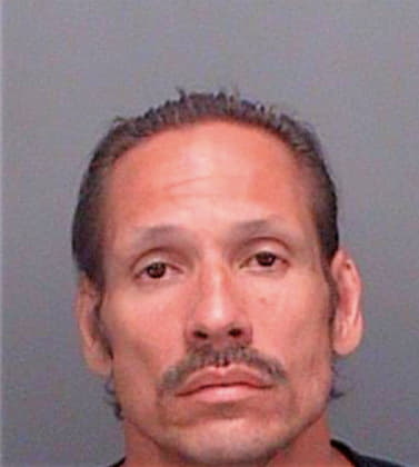 Gonzalez Jose - Pinellas County, FL 