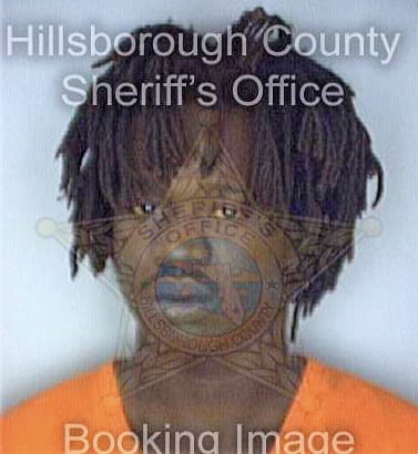 Simmons Brian - Hillsborough County, FL 
