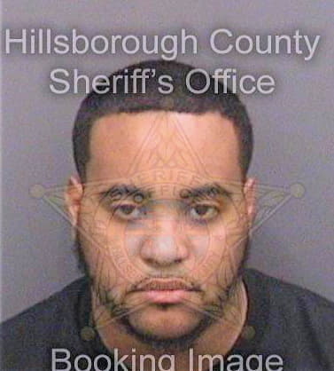 Saldana Kelvin - Hillsborough County, FL 