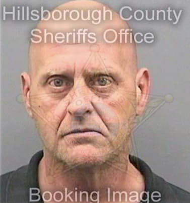 Bissonnette David - Hillsborough County, FL 