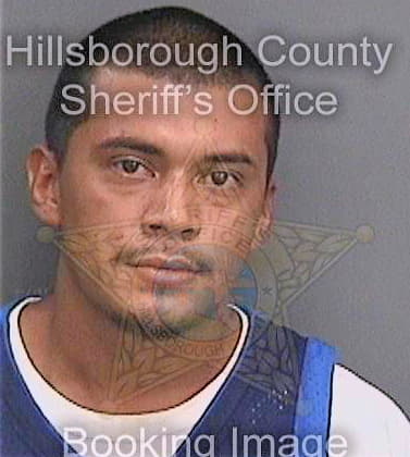 Genis Daniel - Hillsborough County, FL 