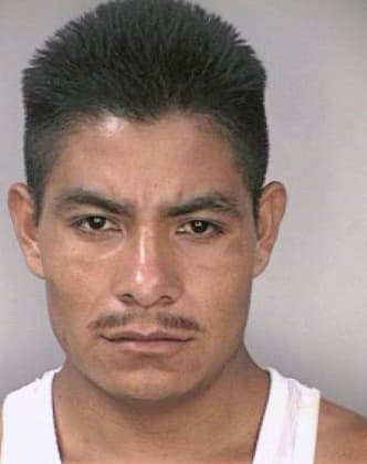 Mendezsilva Fidel - Hillsborough County, FL 