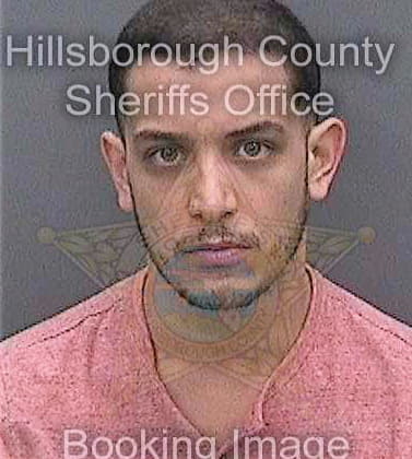 Vanderlei Robson - Hillsborough County, FL 