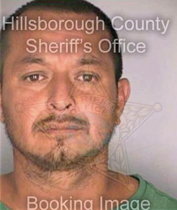 Castaneda Roy - Hillsborough County, FL 