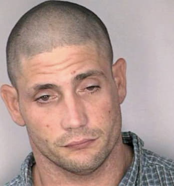 Mcintyre Stephen - Hillsborough County, FL 