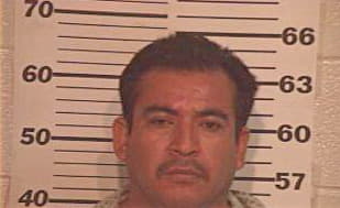 Hernandez Roy - Hidalgo County, TX 