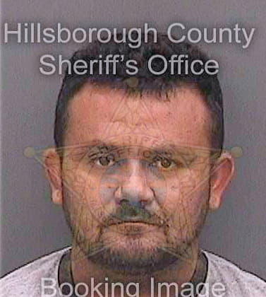 Trochezgonzales Alvaro - Hillsborough County, FL 