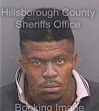 Borden Dario - Hillsborough County, FL 