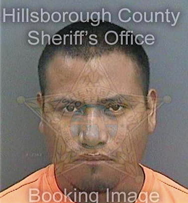 Gomezdiaz Felipe - Hillsborough County, FL 