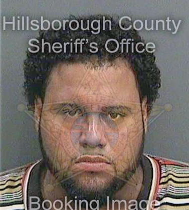 Mendoza Juan - Hillsborough County, FL 