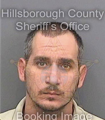 Lopezaleman Armando - Hillsborough County, FL 