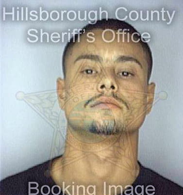 Marty Juan - Hillsborough County, FL 