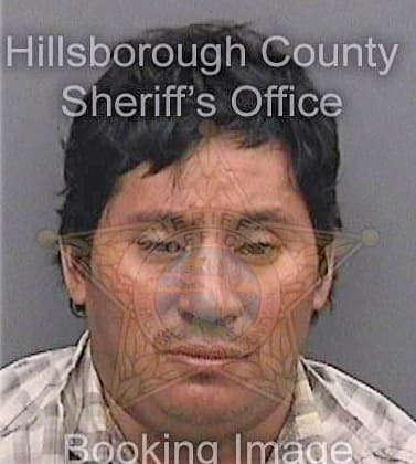 Deleonruiz Rocael - Hillsborough County, FL 