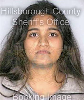 Hamilton Shereen - Hillsborough County, FL 