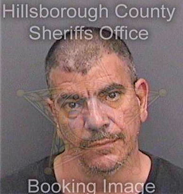 Martinez David - Hillsborough County, FL 