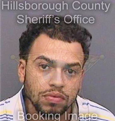 Melendez Juan - Hillsborough County, FL 